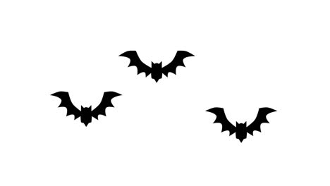 Bat-Transitions.-1080p---30-fps---Alpha-Channel-(1)